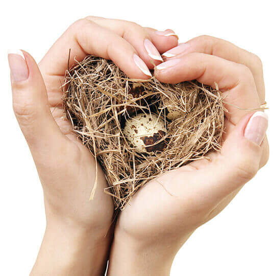 Flutter App Development Services