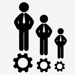 ERP-HUMAN CAPITAL MANAGEMENT (HCM)