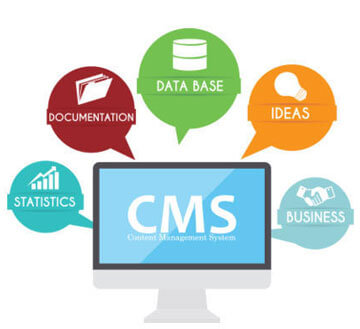 mern stack web development