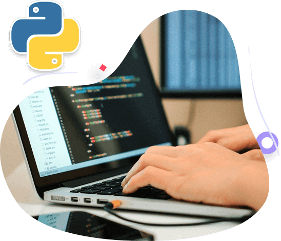 Hire Python Programmers
